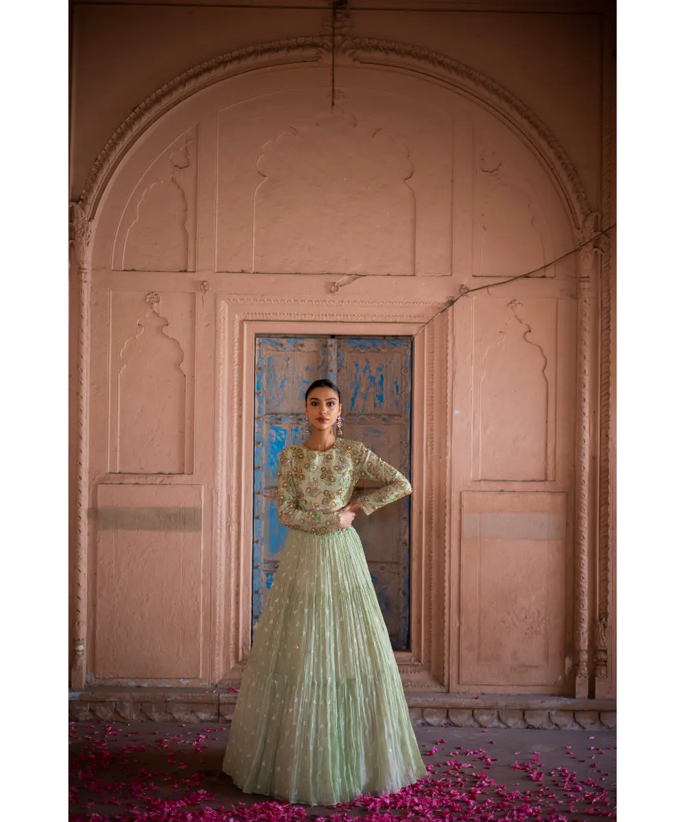 LABEL ANUSHREE- Skirt Set