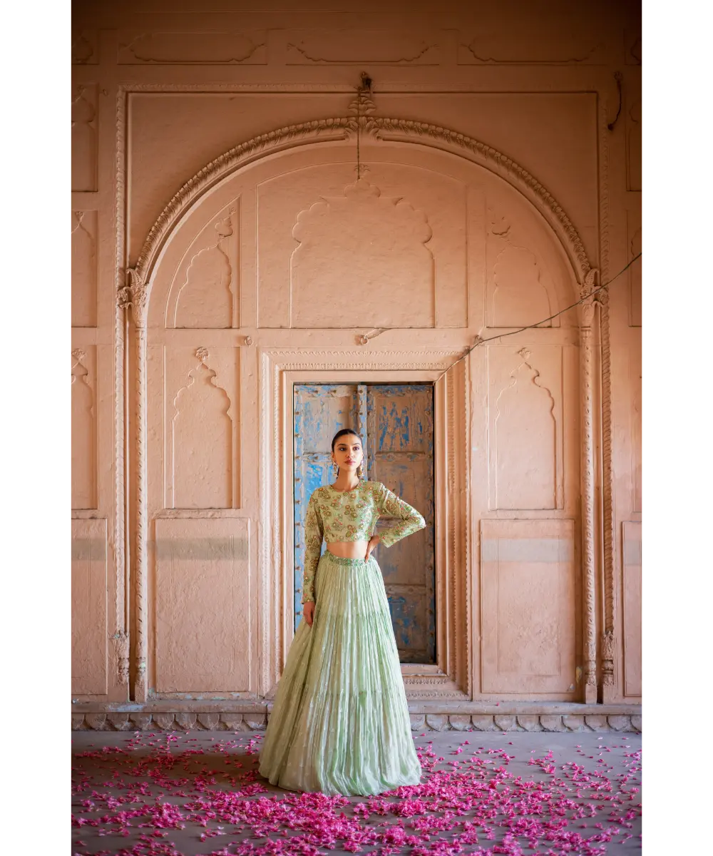 LABEL ANUSHREE- Skirt Set