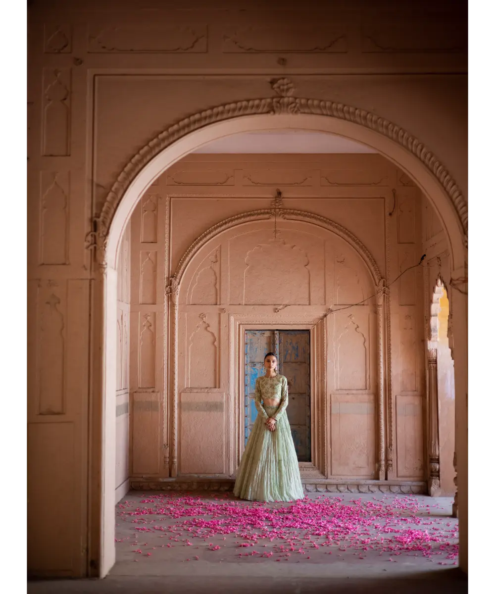 LABEL ANUSHREE- Skirt Set