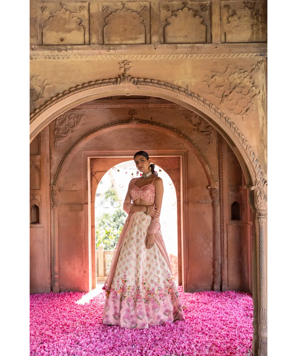 LABEL ANUSHREE- Skirt Set