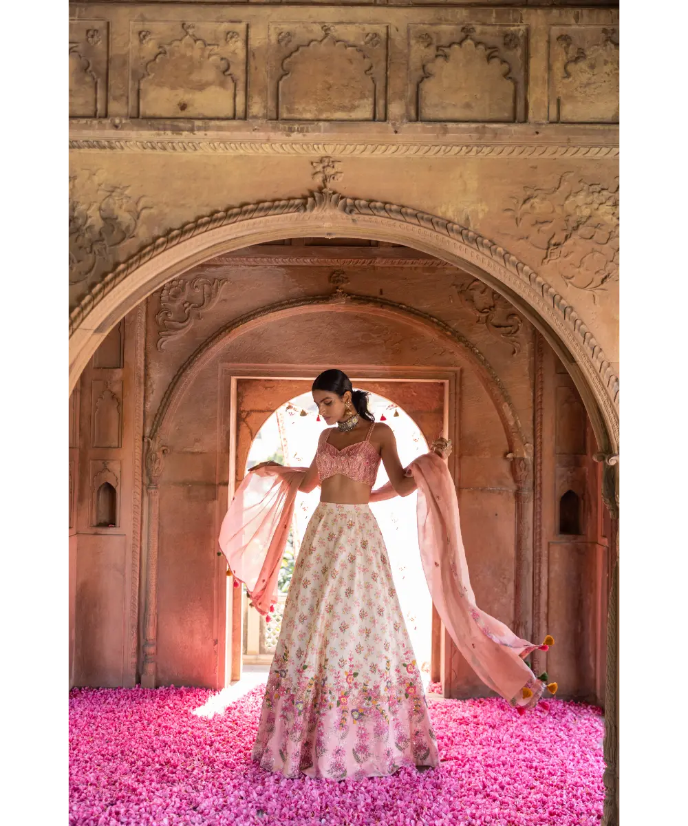 LABEL ANUSHREE- Skirt Set