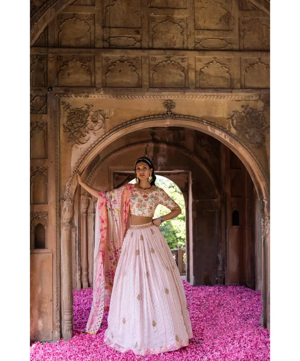 LABEL ANUSHREE- Skirt Set