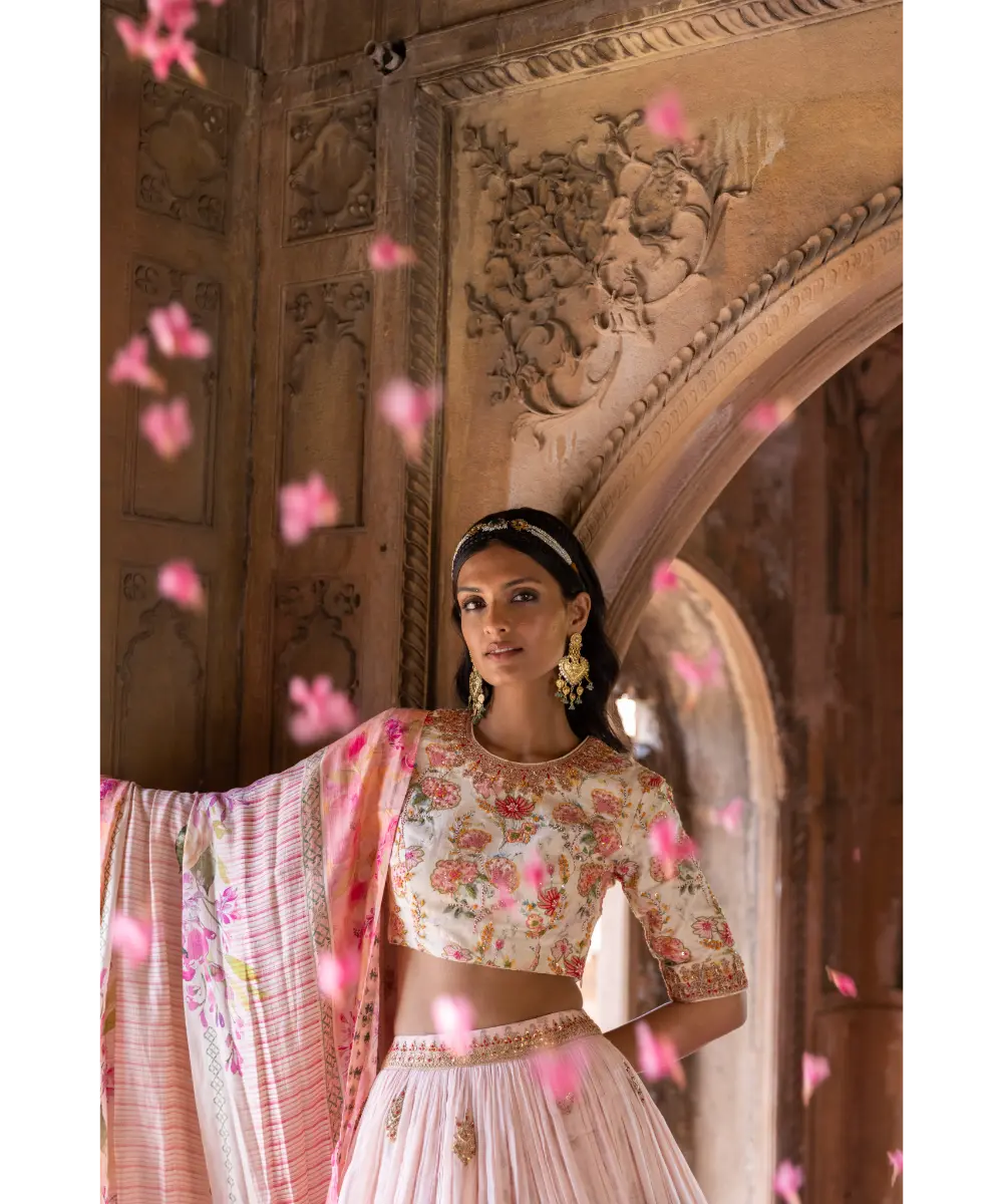 LABEL ANUSHREE- Skirt Set