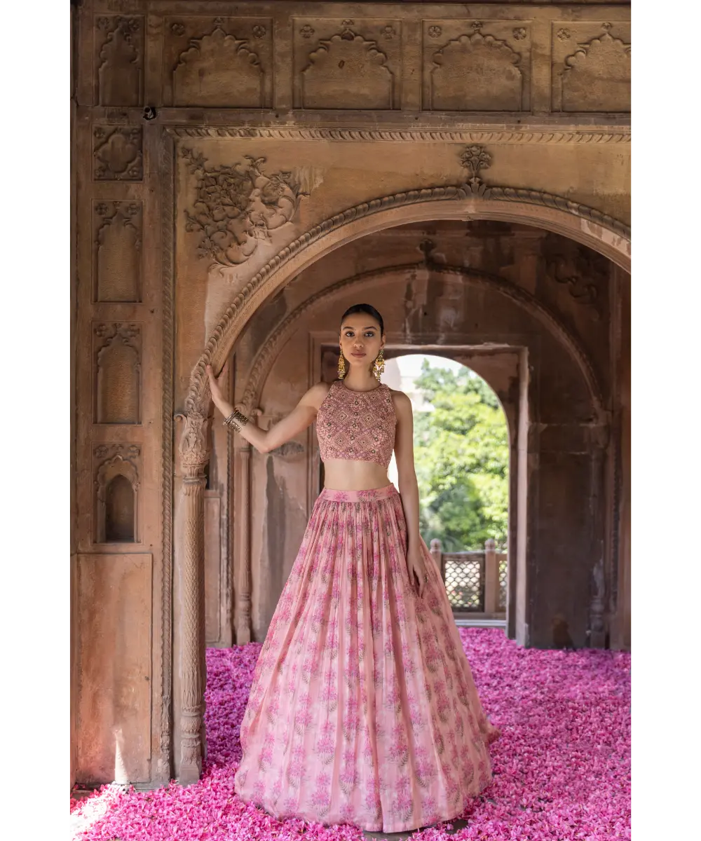 LABEL ANUSHREE- Pink Skirt Set