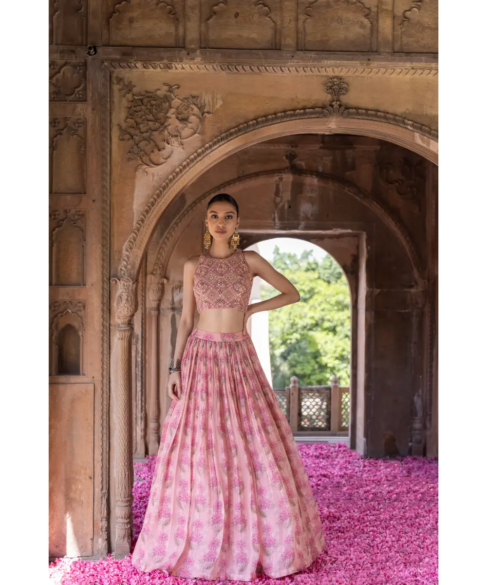 LABEL ANUSHREE- Pink Skirt Set