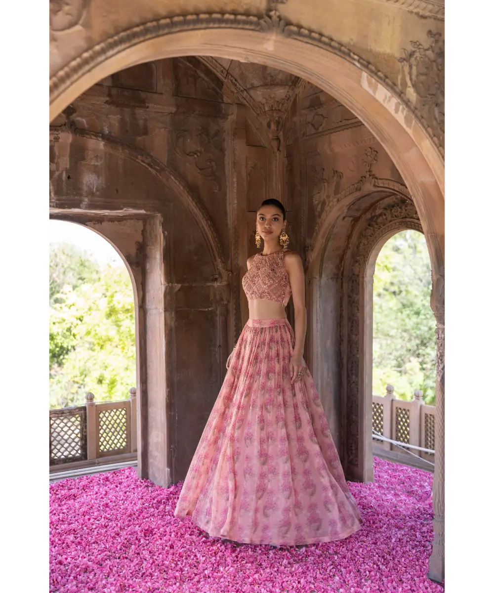 LABEL ANUSHREE- Pink Skirt Set