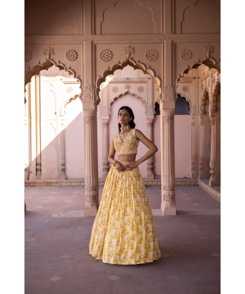 LABEL ANUSHREE- Skirt Set