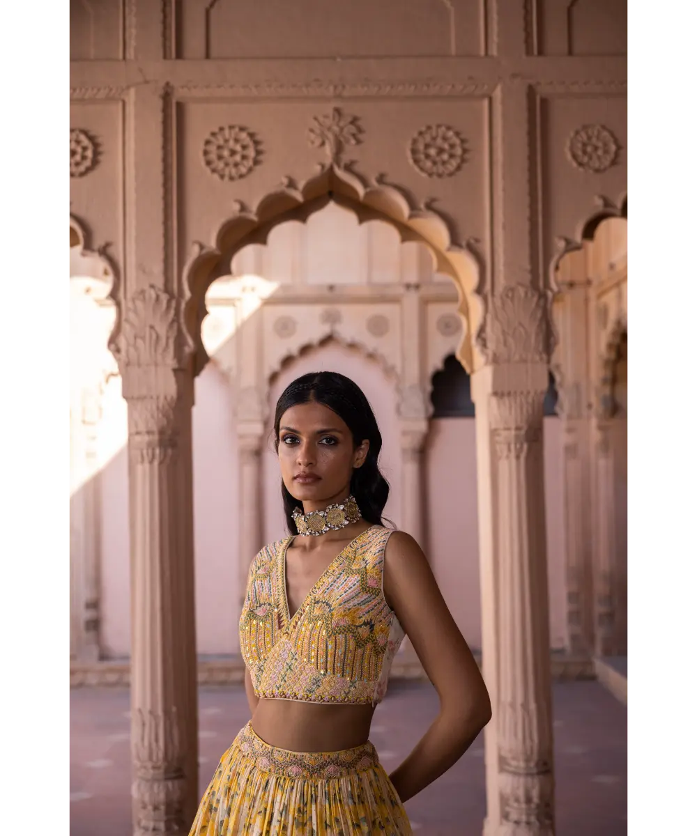 LABEL ANUSHREE- Skirt Set