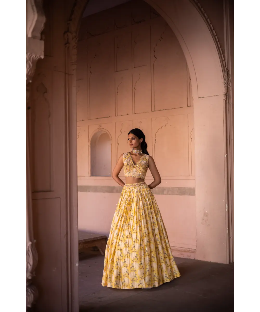 LABEL ANUSHREE- Skirt Set