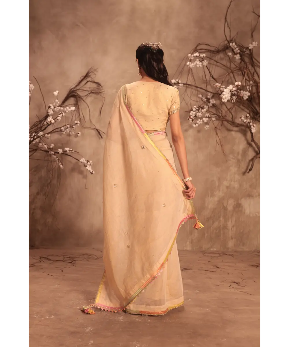 NITI BHOTRA - Nazakat Ivory Applique Saree Set