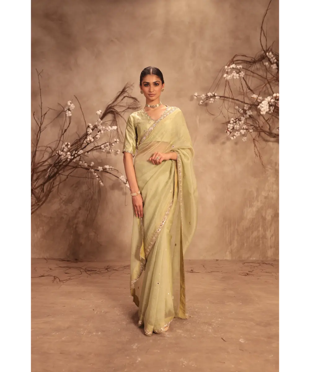 NITI BHOTRA - Nazakat Light Green Organza Mirror Work Saree Set
