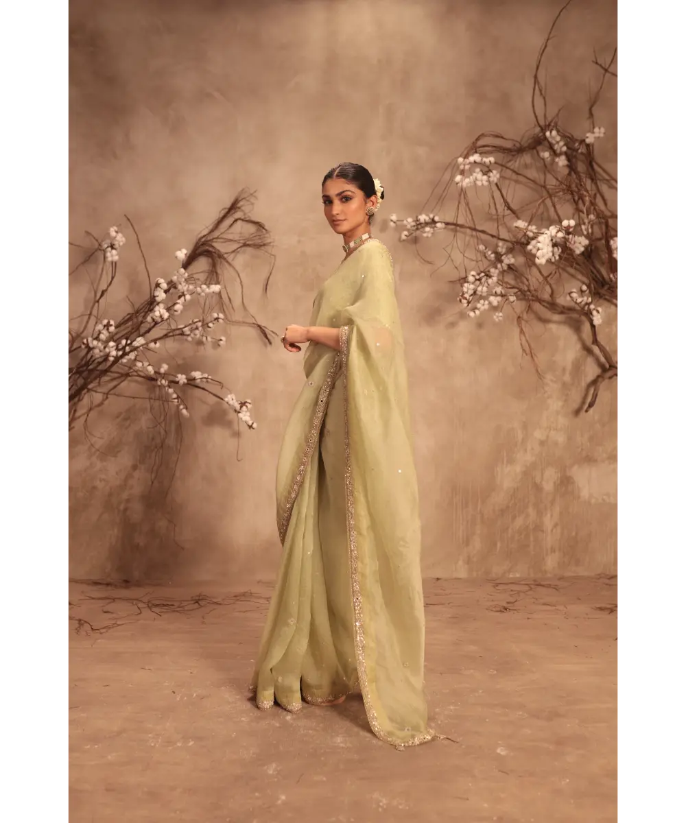 NITI BHOTRA - Nazakat Light Green Organza Mirror Work Saree Set