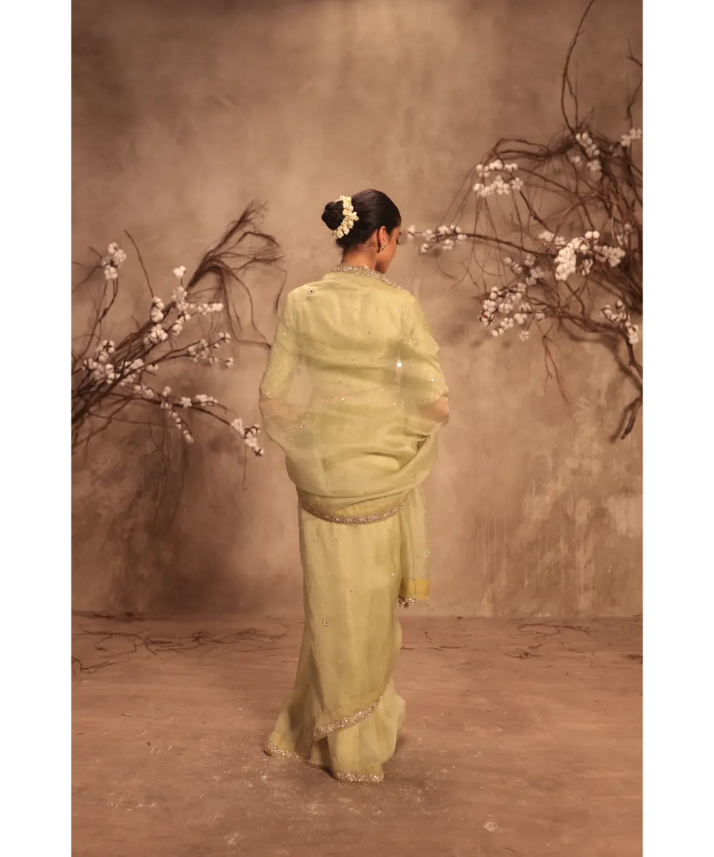 NITI BHOTRA - Nazakat Light Green Organza Mirror Work Saree Set
