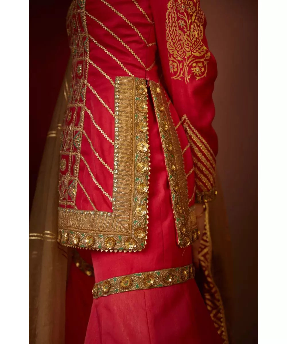 MOLEDRO - Aaina Sharara Set