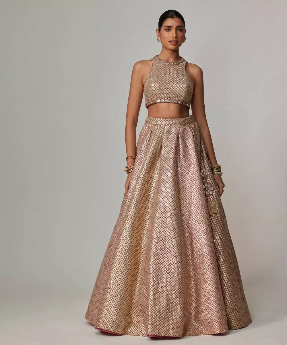 VVANI VATS - Deep beige multicolor Skirt with Crop Top