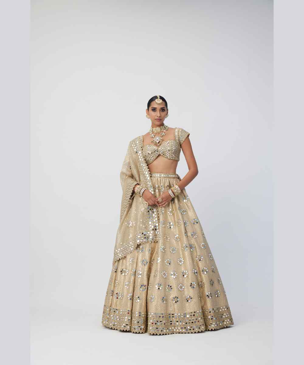 Golden Shimmer Organza Flower Lehenga Set