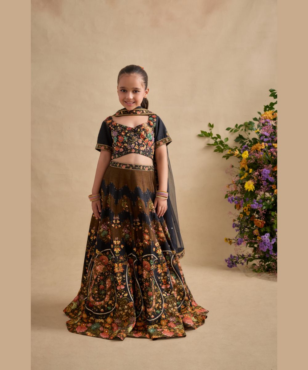 Kalista - Naaz - Shadi ka ghar collection - Lehenga Set