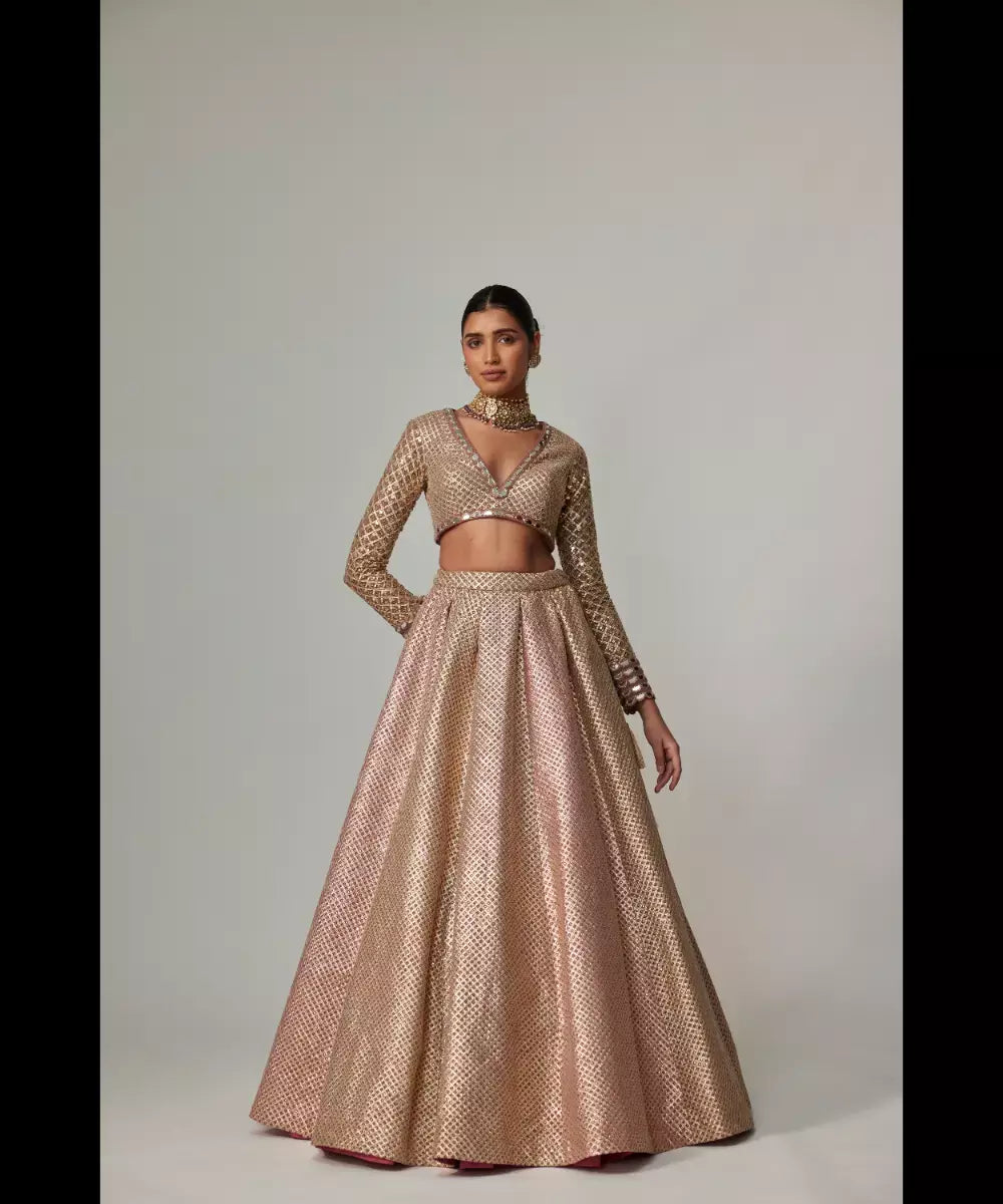 VVANI VATS - Deep beige multicolor V Neck Crop Top with Skirt