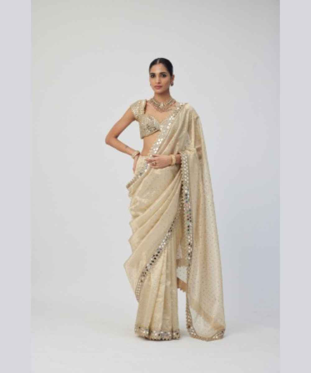 Golden Shimmer Organza saree set
