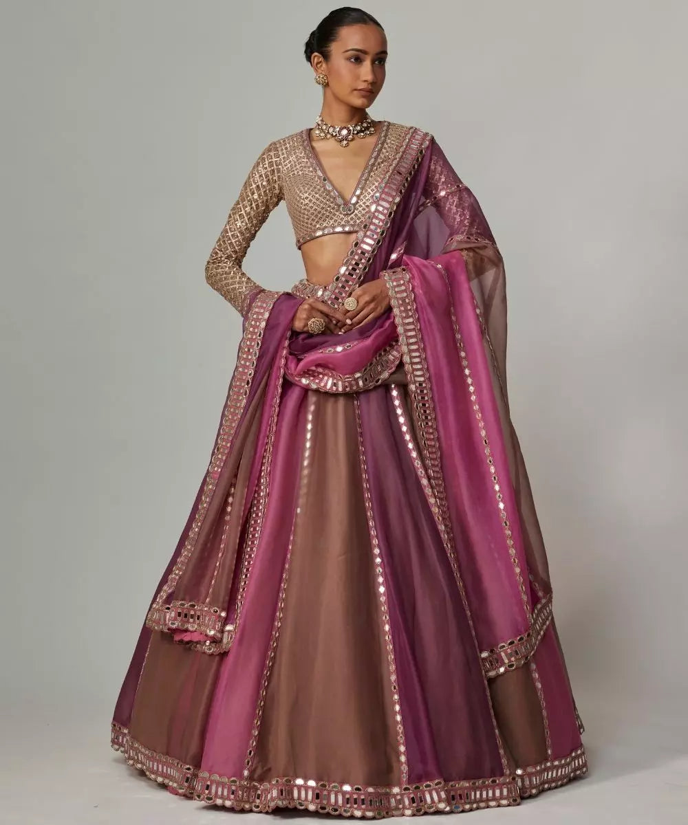 VVANI VATS - Mud mauve mauve multicolor Lehenga Set with  V Neck Blouse