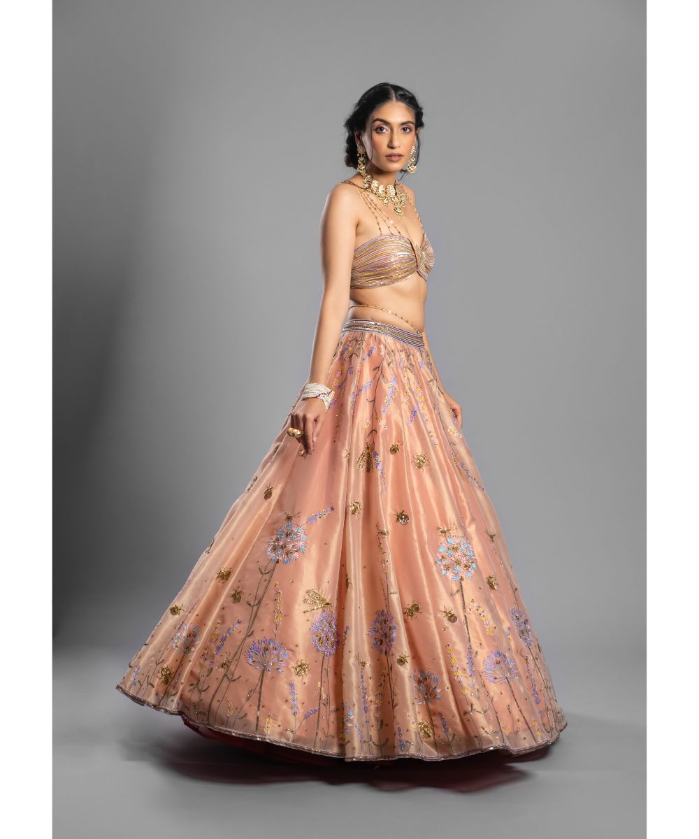 Aastha Sood - Peach Tissue Lehenga