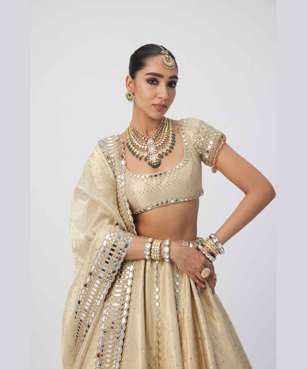 Golden Shimmer Organza Linear Lehenga Set