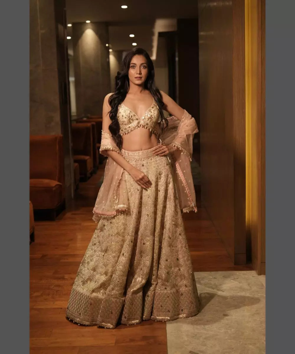 GOPI VAID - Roma Lehenga Set - Celab