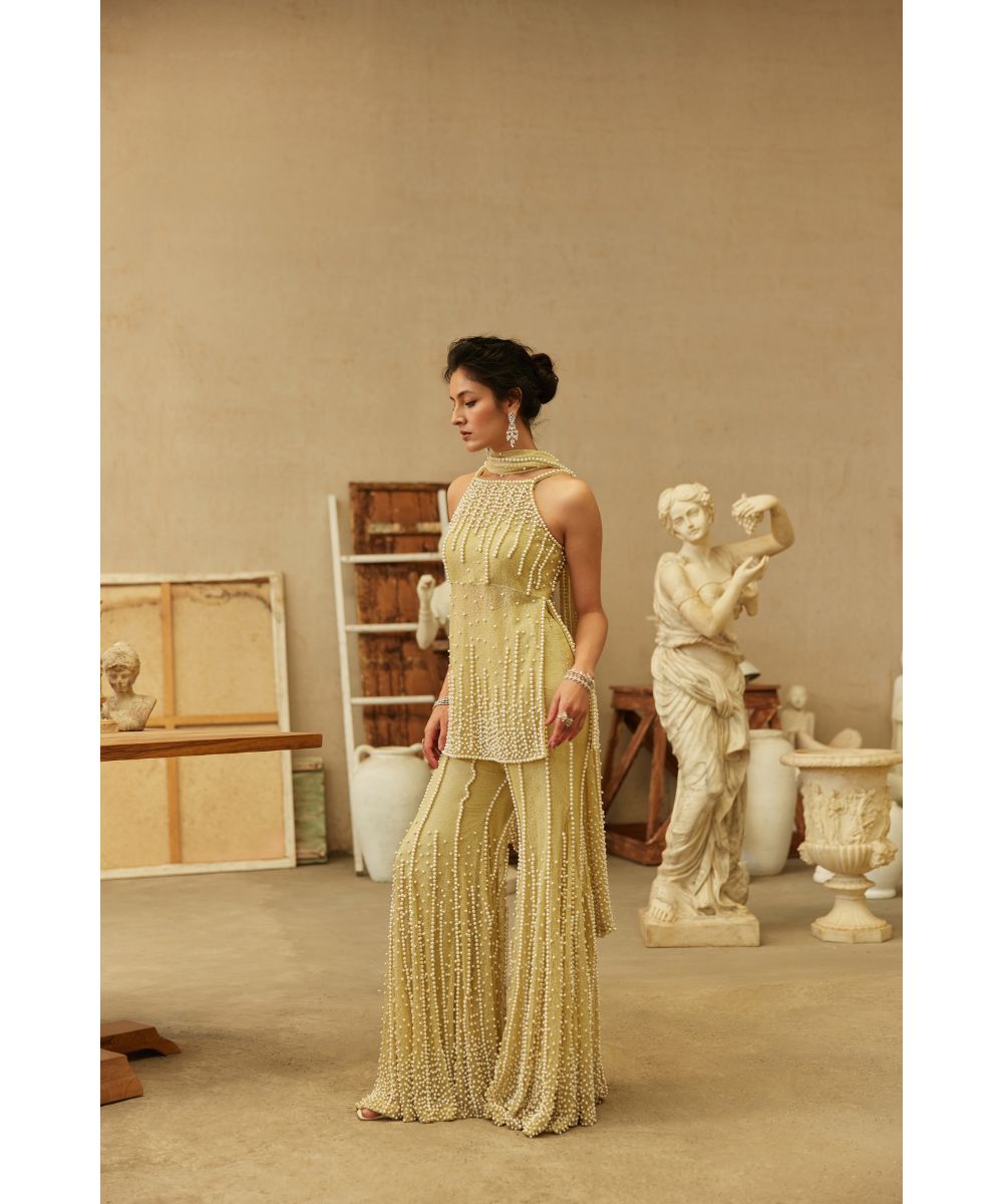 MEHUL GUPTA - Sharara set