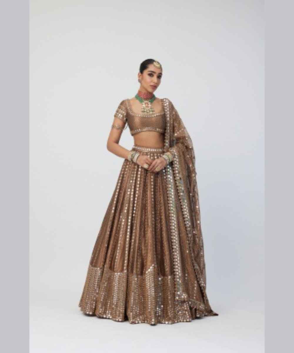 Copper Shimmer Organza Sequins Lehenga Set