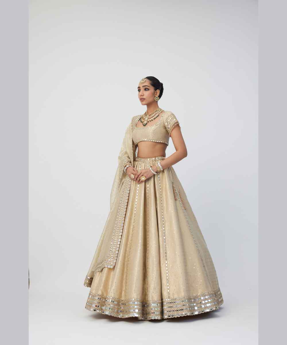 Golden Shimmer Organza Linear Lehenga Set