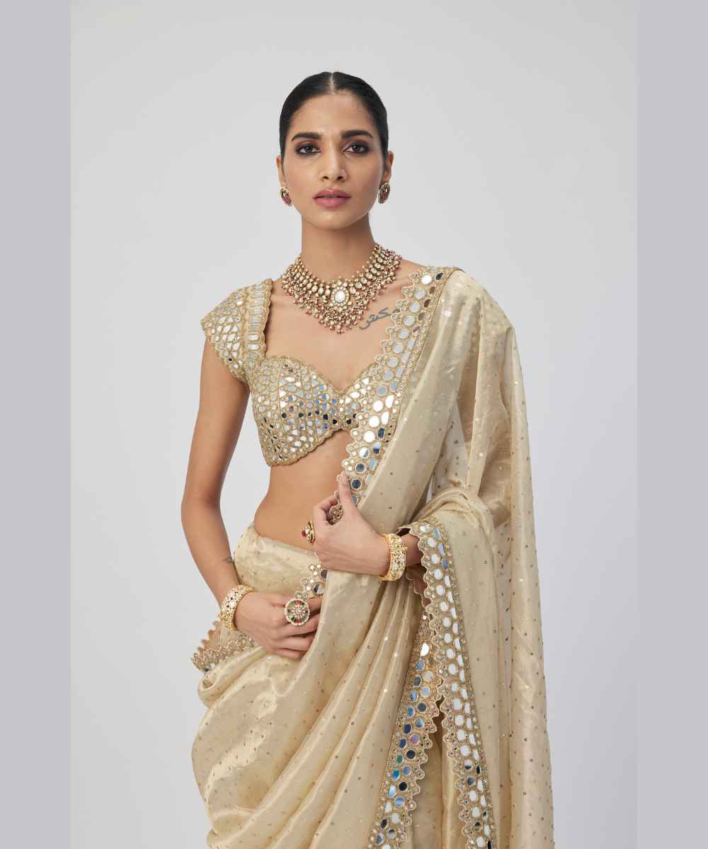 Golden Shimmer Organza saree set