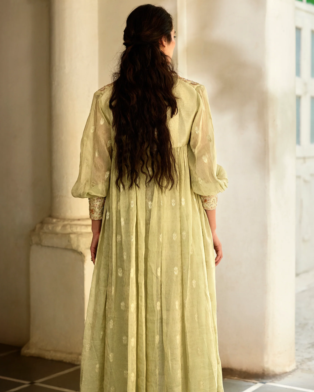 Paulmi and Harsh - Solene Palazzo Jacket Set from Tara