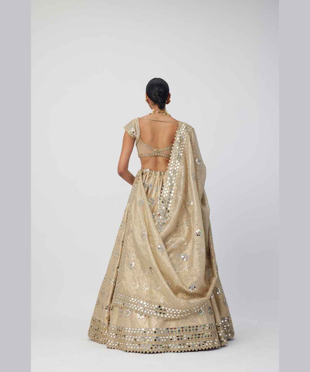 Golden Shimmer Organza Linear Lehenga Set