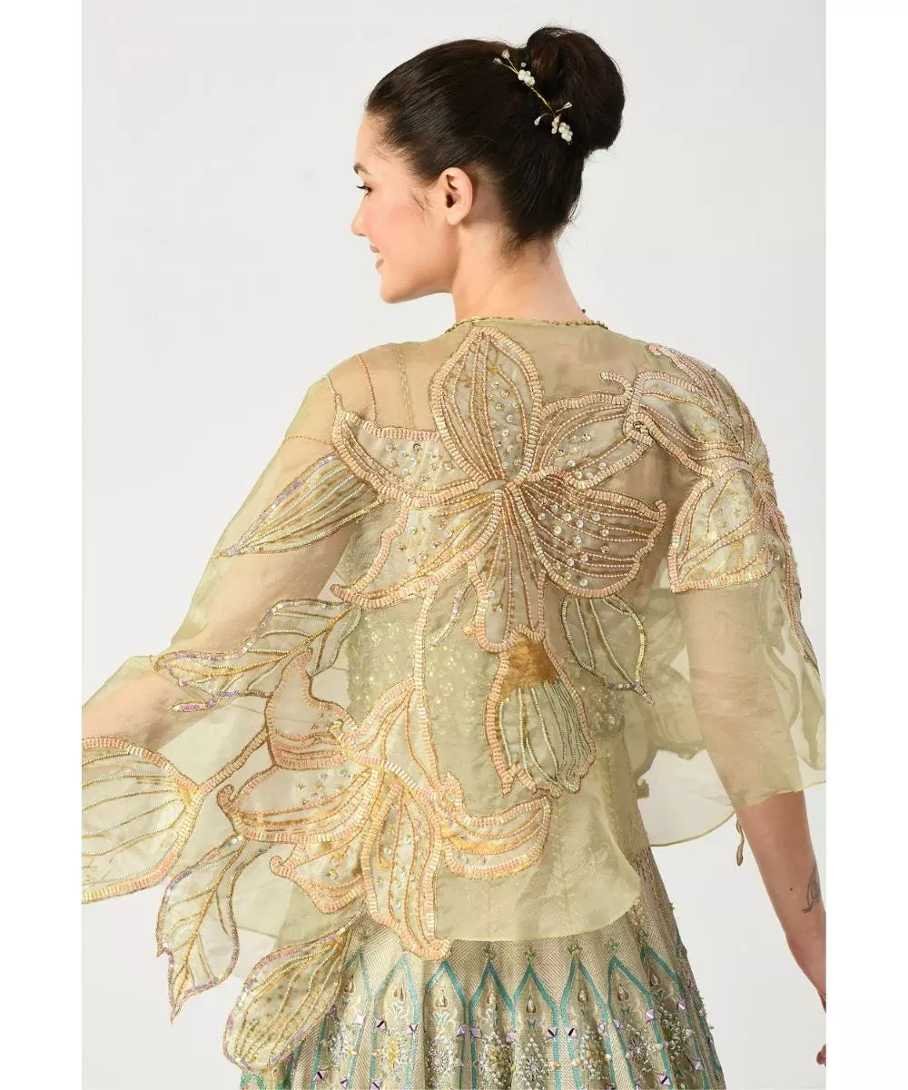 MOLEDRO - Ajooni Anarkali