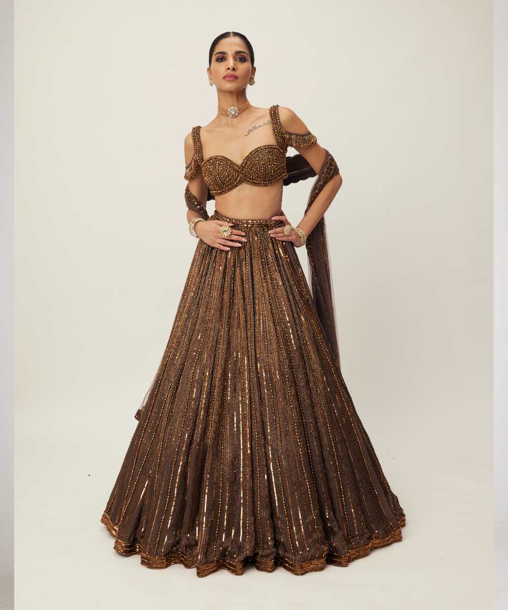Copper crystal Linear embroidered Lehenga set - Collection name Maya by Vvani Vats