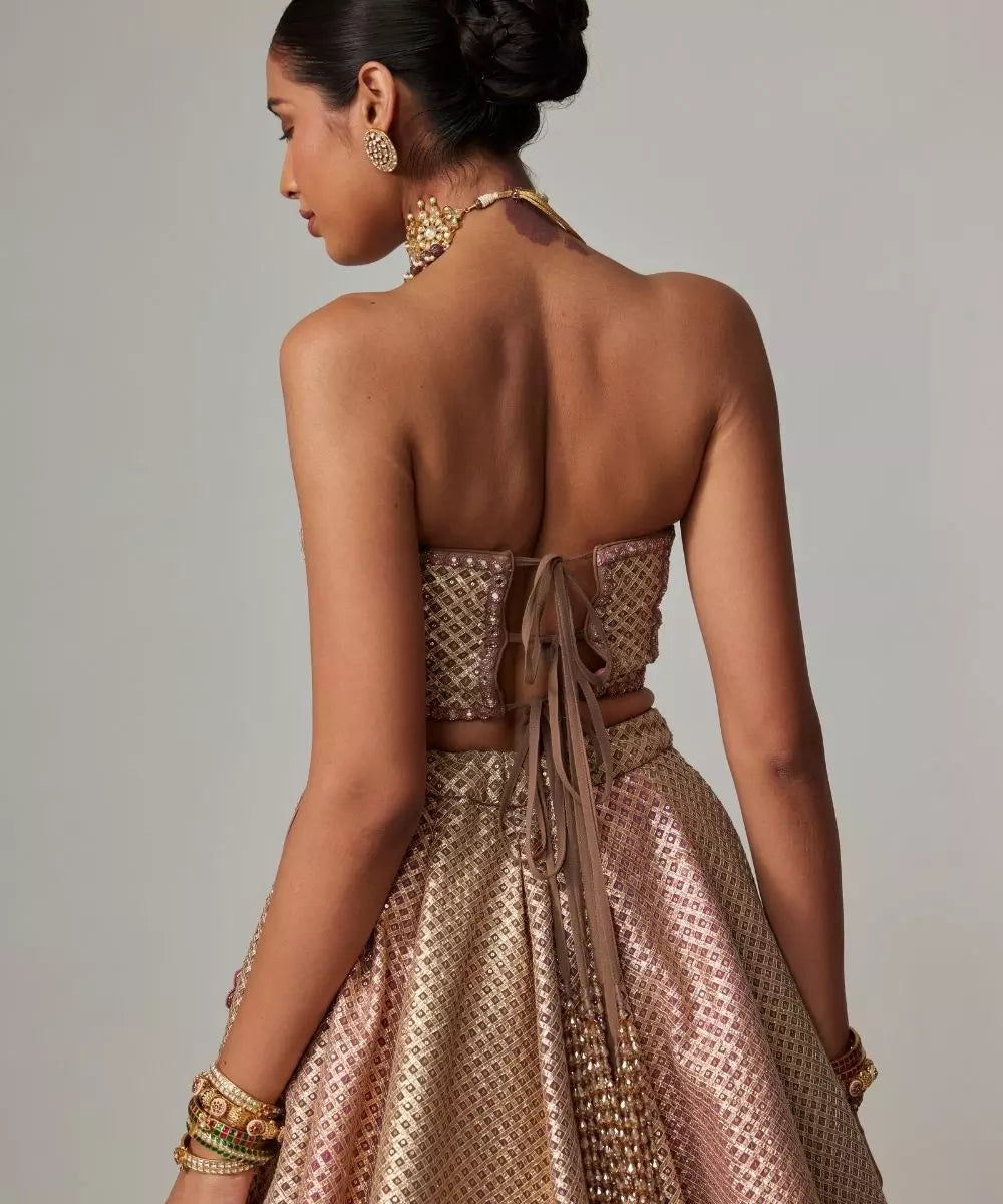 VVANI VATS - Deep beige multicolor Corset with Skirt