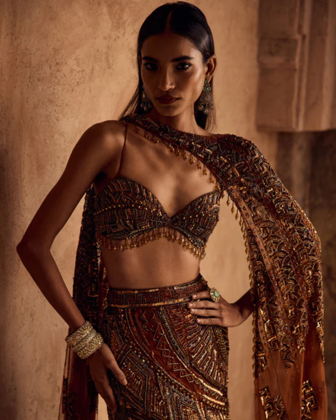 Diya Rajvvir - Caramel Brown Fully Embroidered Mermaid Trailskirt Set Taara