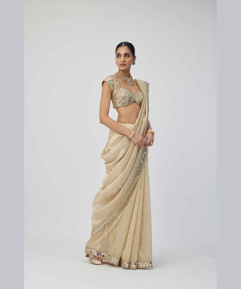 Golden Shimmer Organza saree set