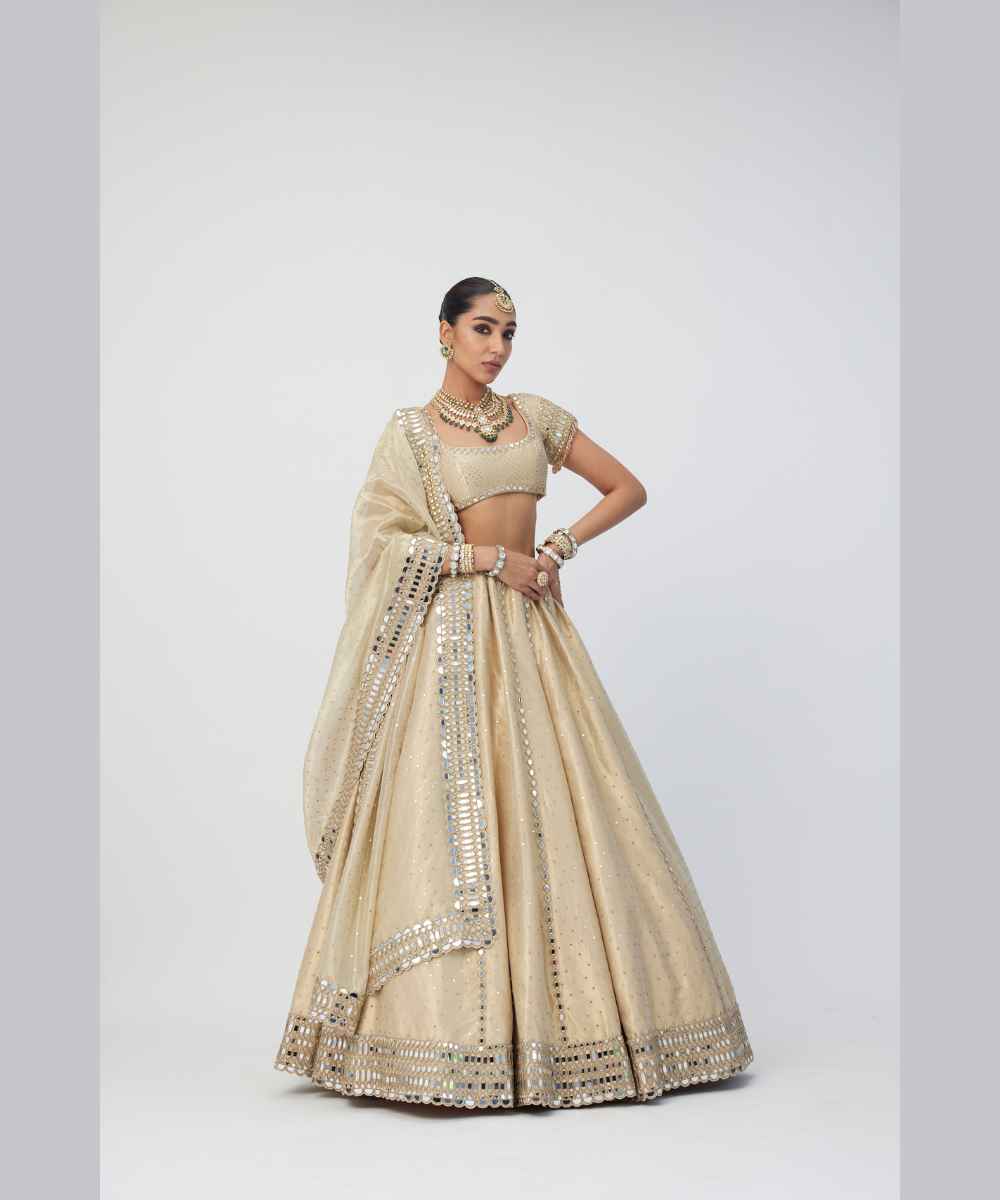 Golden Shimmer Organza Linear Lehenga Set