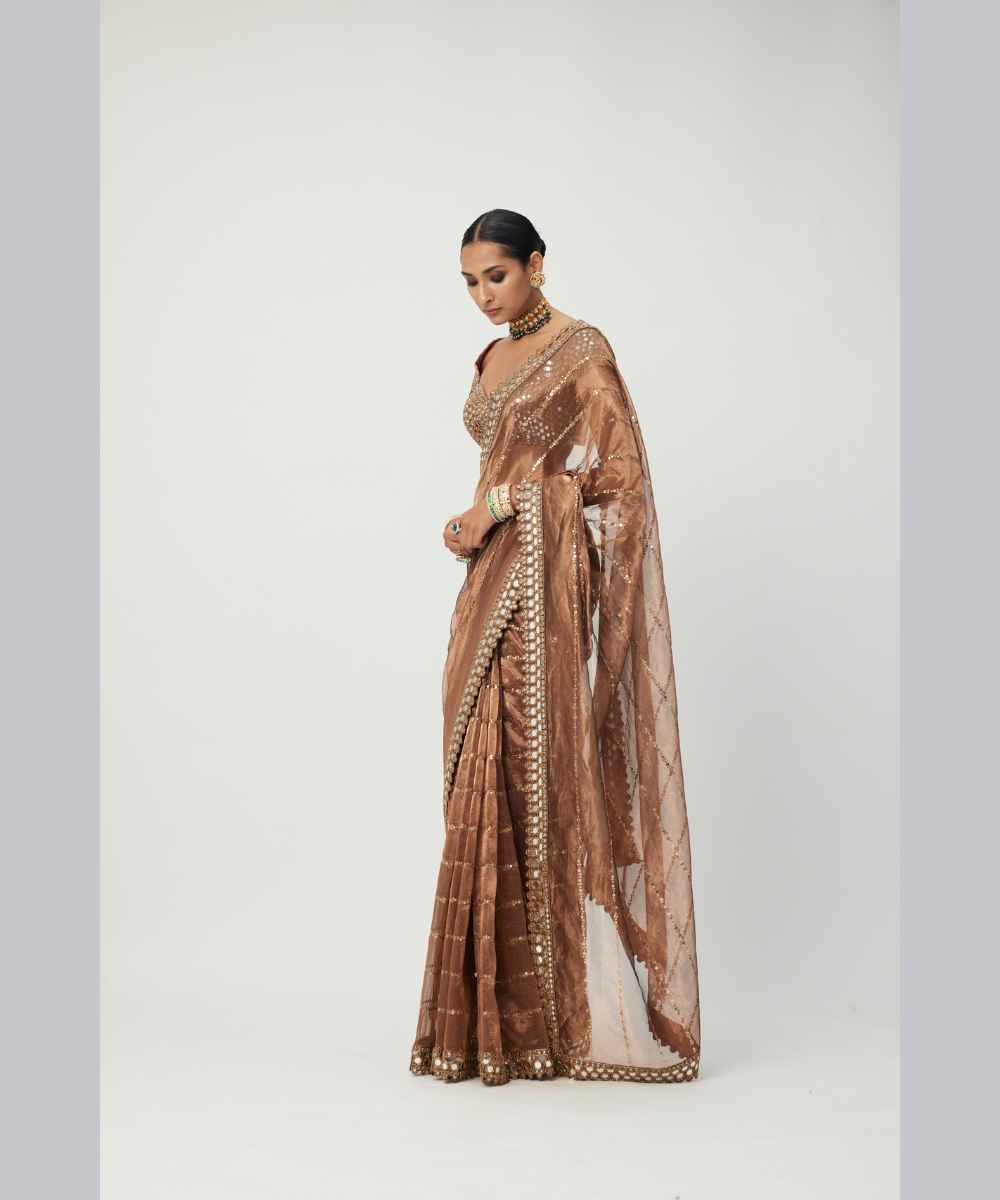 Copper Shimmer Organza saree set