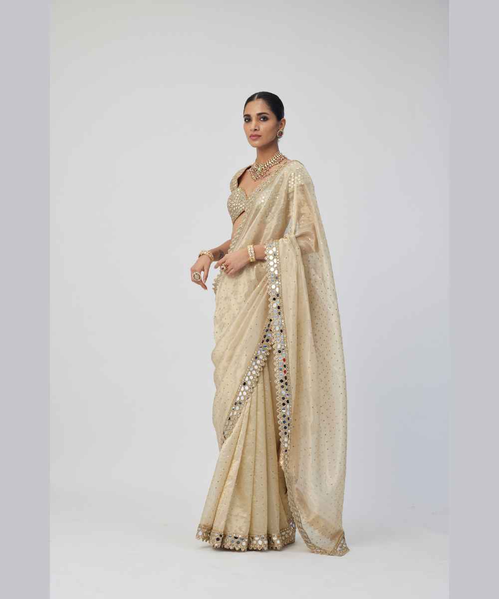 Golden Shimmer Organza saree set