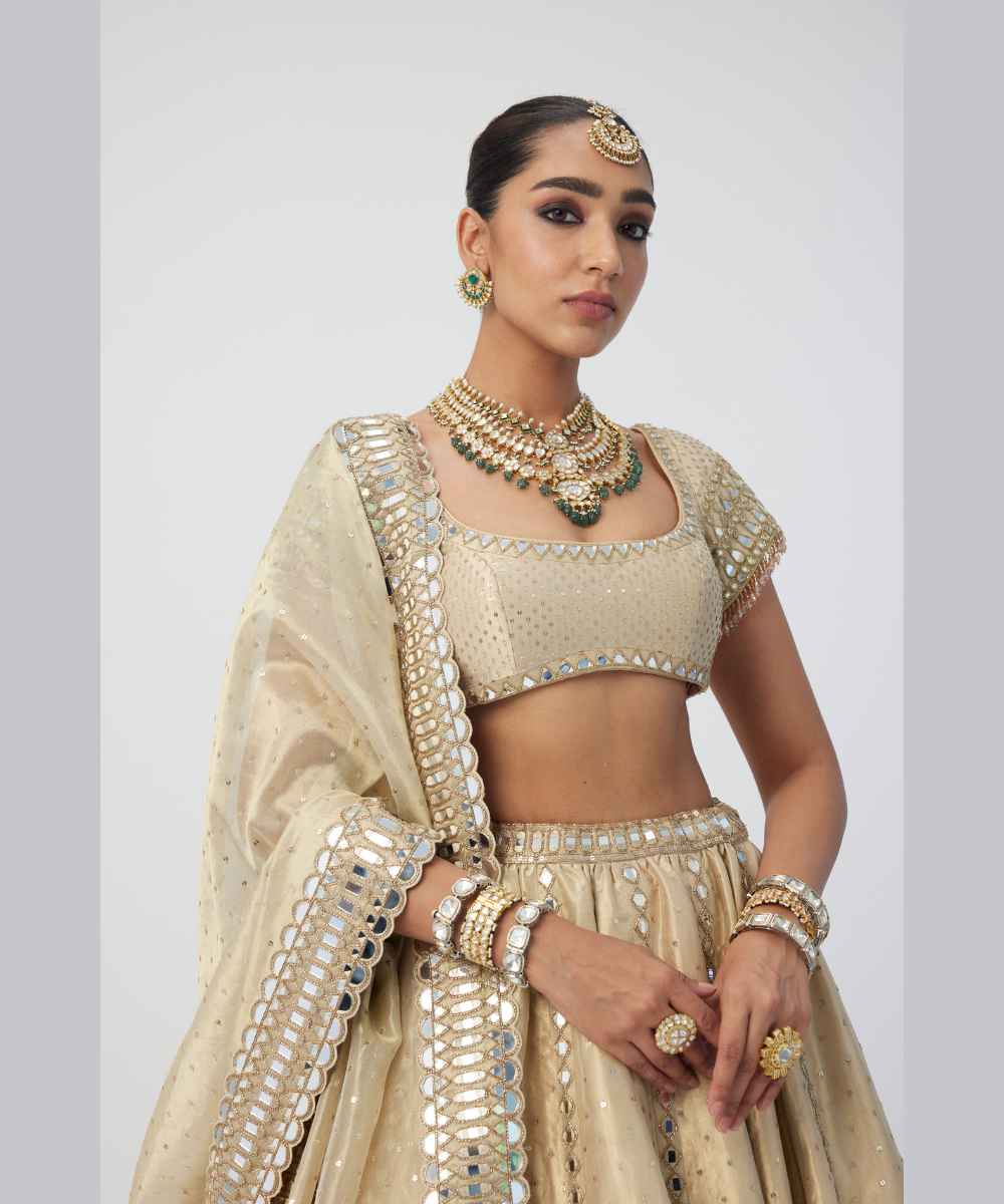 Golden Shimmer Organza Linear Lehenga Set