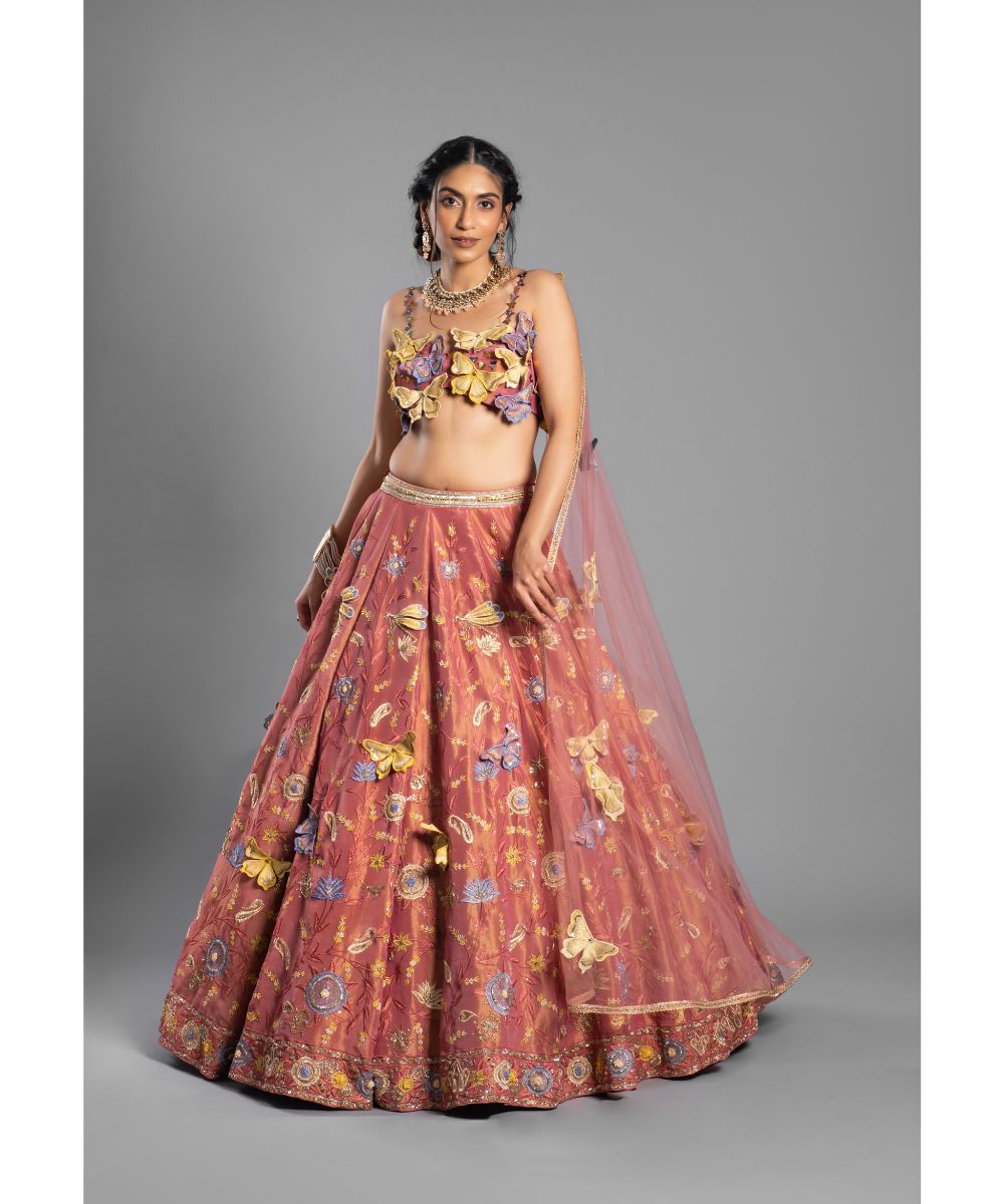 Butterfly inspired Pink Silk Tissue Lehenga