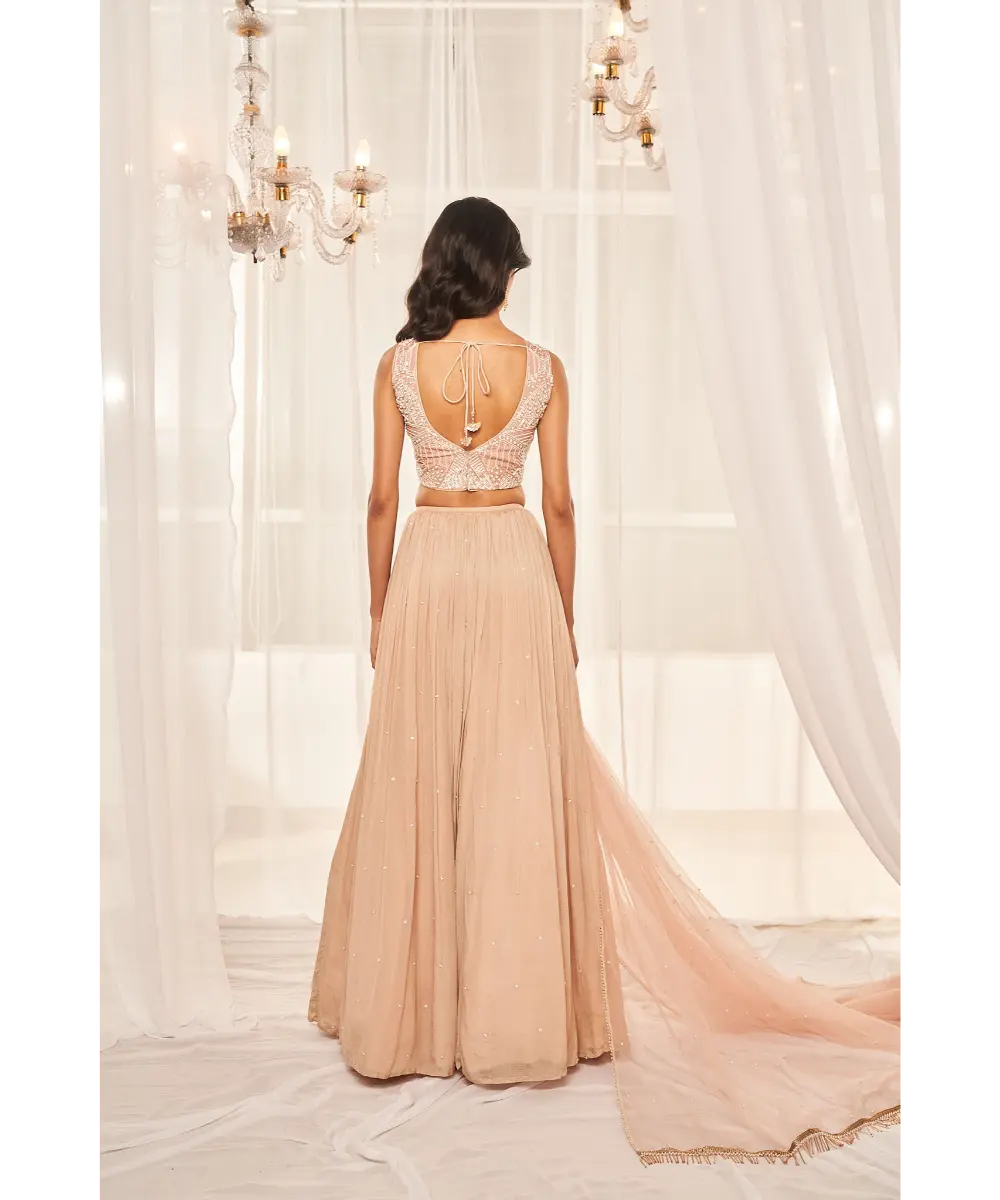 DISHA MUCHHALA- Blush Pink Lehenga Set