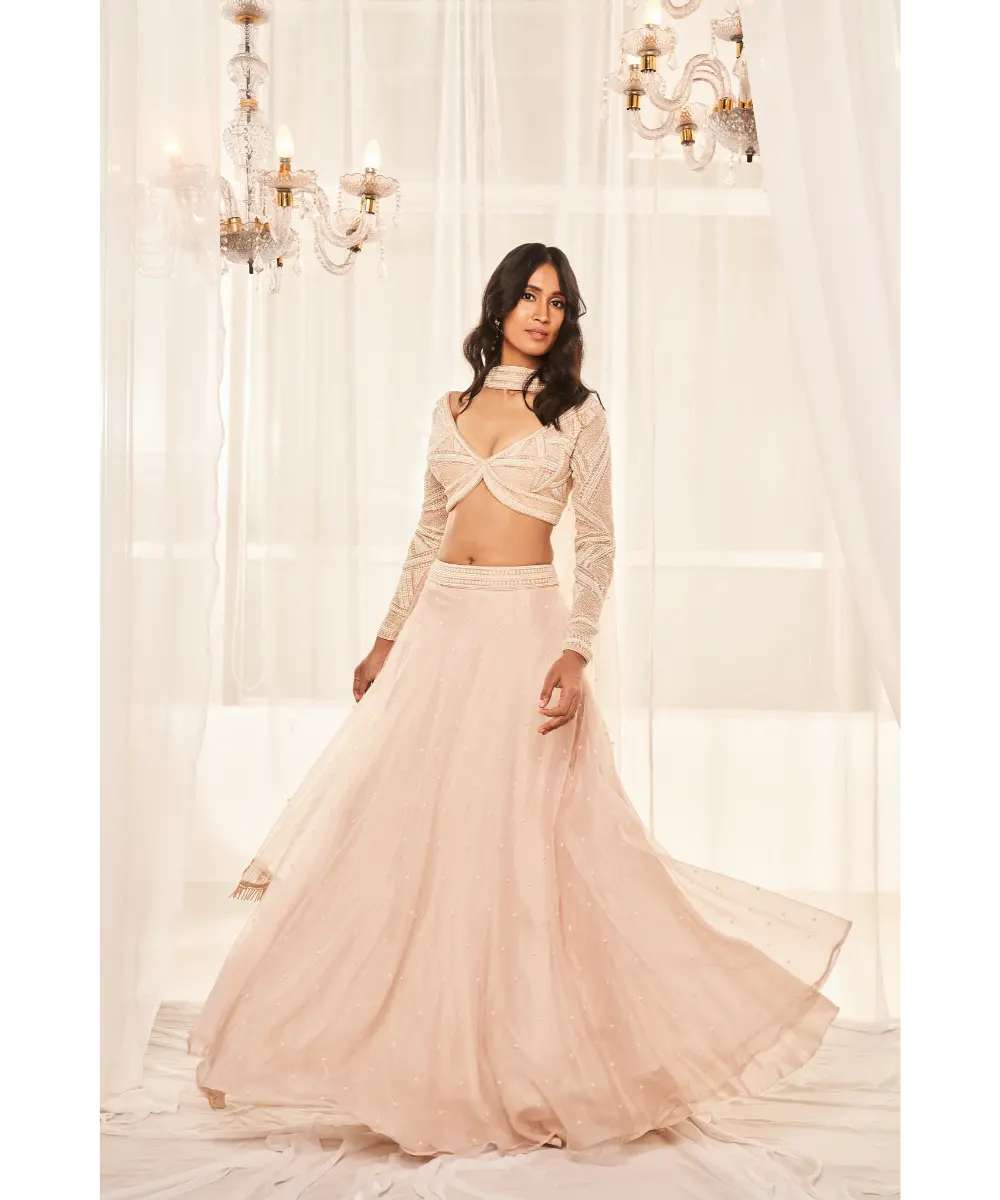 DISHA MUCHHALA- Dusty Beige Lehenga Set