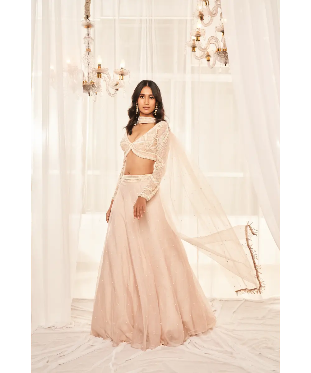 DISHA MUCHHALA- Dusty Beige Lehenga Set