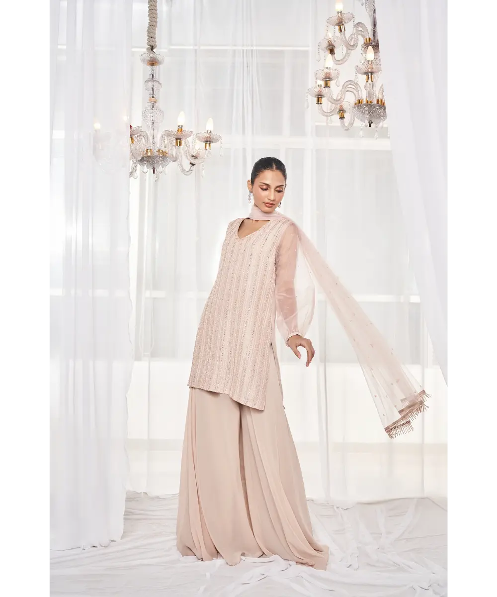 DISHA MUCHHALA- Dusty Beige Pant Set