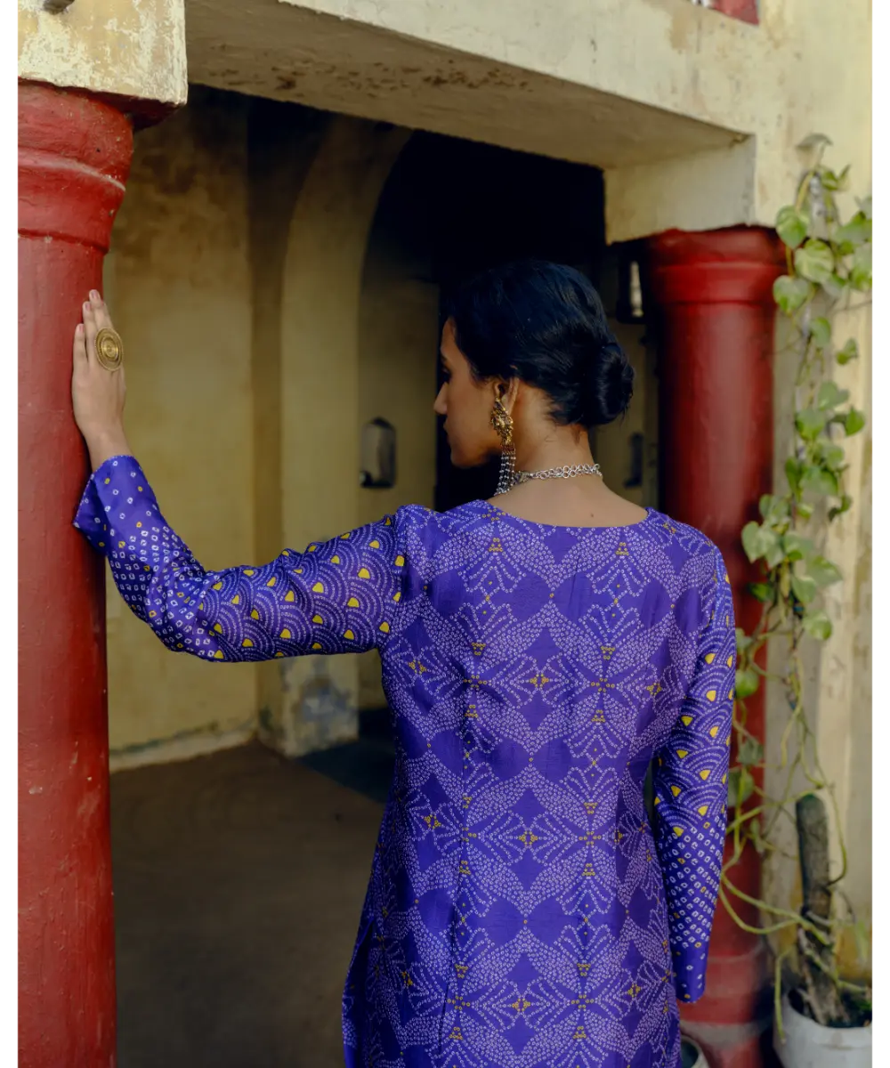 DRISHTI AND ZAHABIA - Iris Purple Co-ord Set