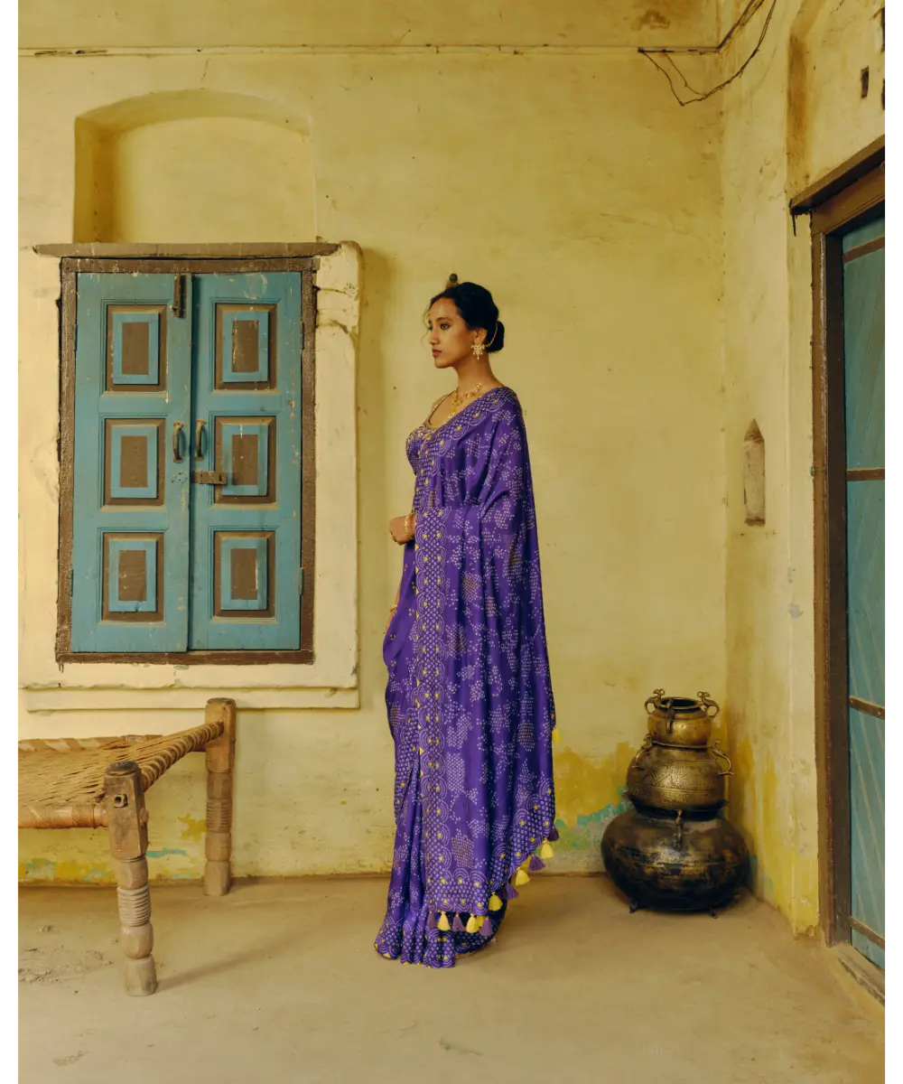 DRISHTI AND ZAHABIA - Iris Purple Saree & Blouse