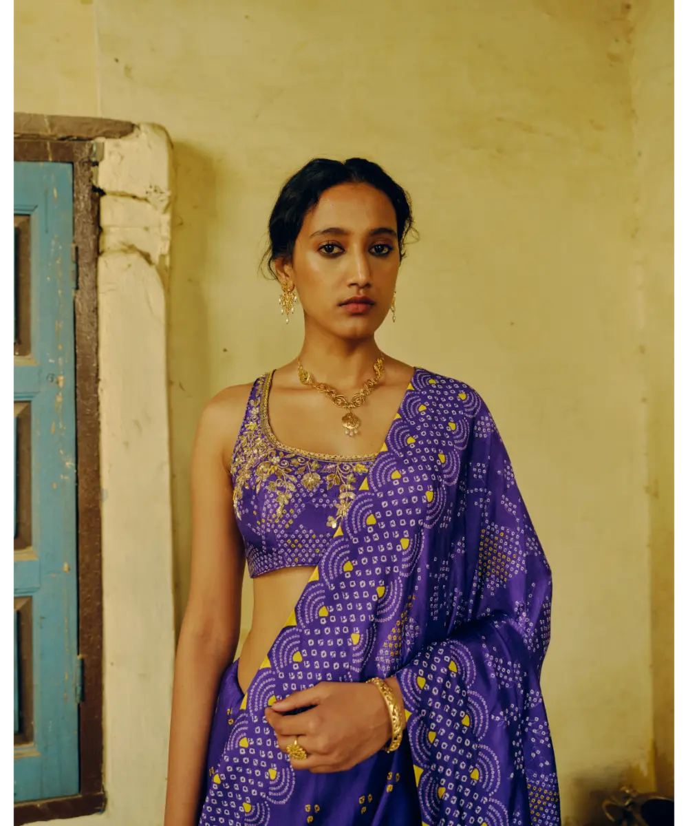 DRISHTI AND ZAHABIA - Iris Purple Saree & Blouse